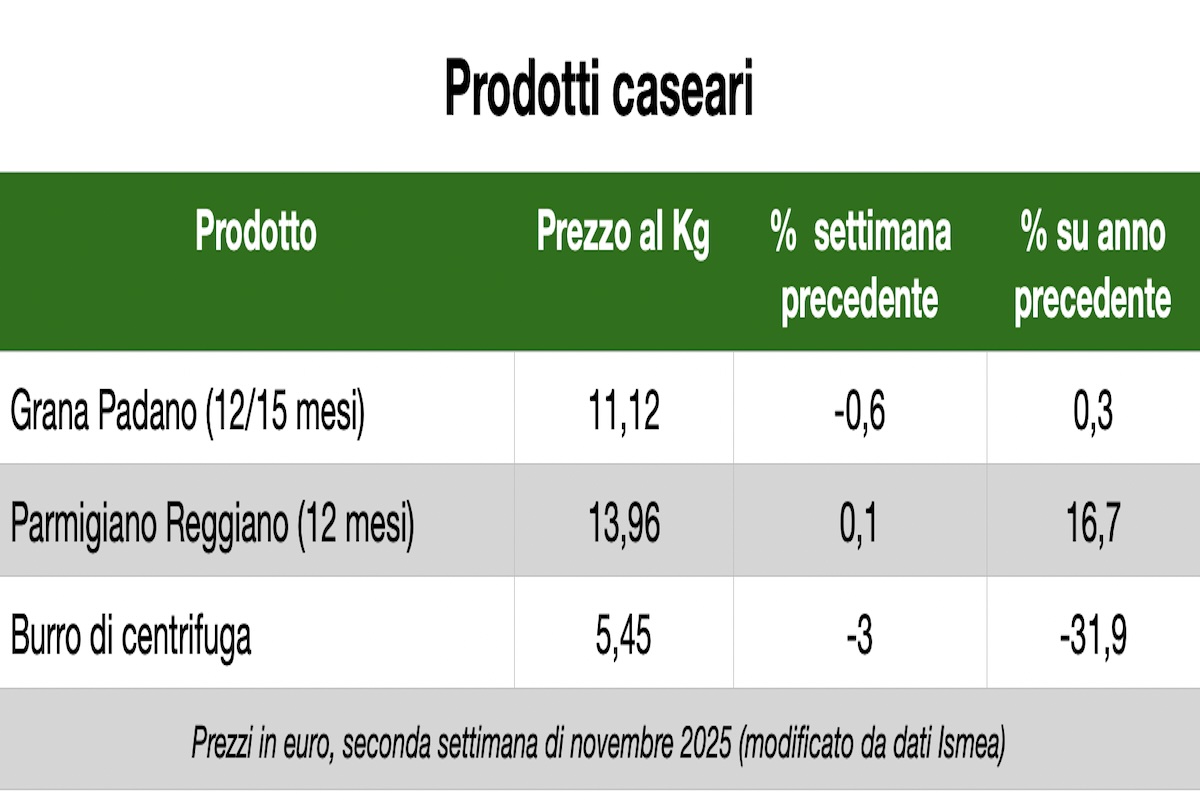 Prezzi dei prodotti caseari